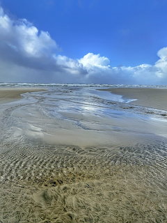 Beach Shoreline