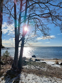 Bare trees beside a snowy shore with sunlight shining over calm blue water