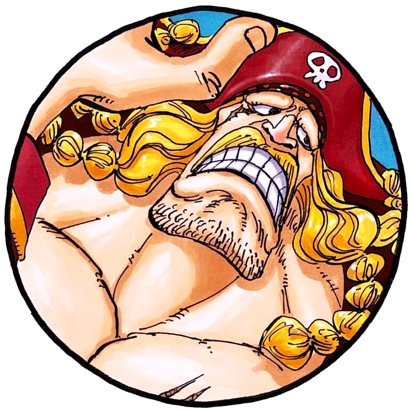 ONE PIECE Pirate Character