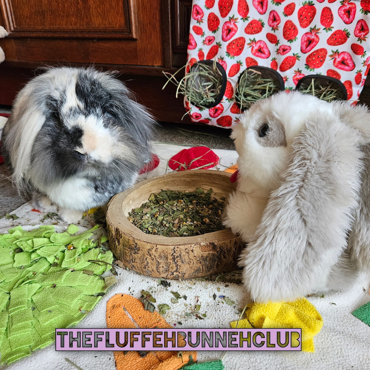 Two fluffy pet rabbits beside a wooden bowl of food on a blanket indoors