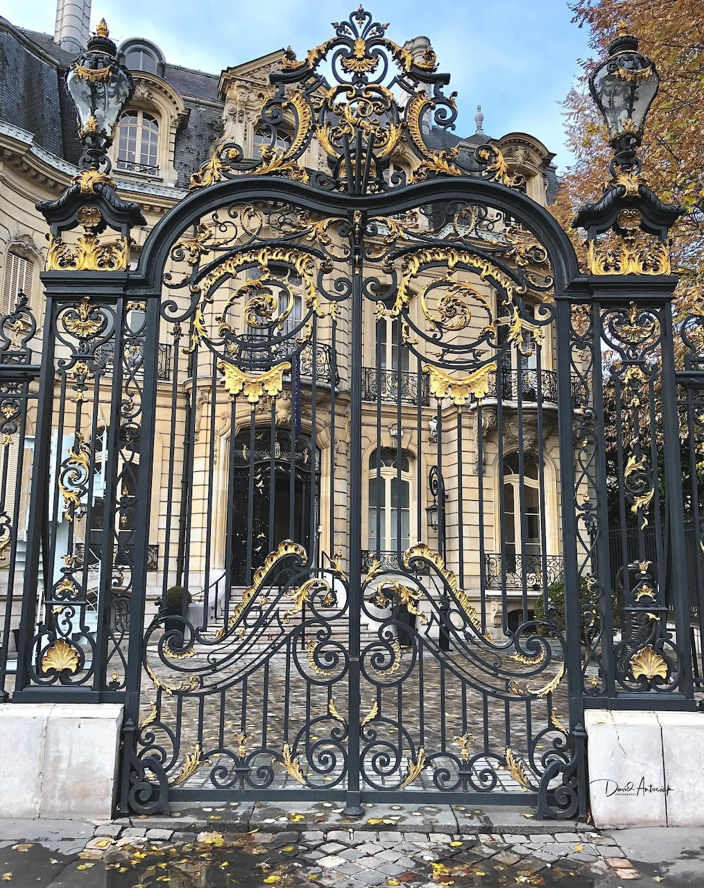 Ornate black and gold wrought iron gate with baroque decorative elements and scrollwork
