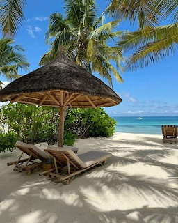 Thatched umbrella and wooden lounge chairs on white sand beach with palm trees and turquoise sea