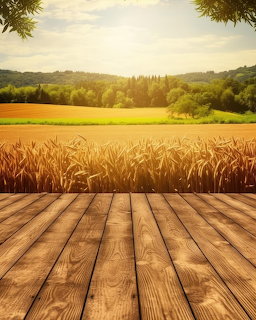 Wooden deck overlooking golden wheat field with green hills and trees under sunny sky