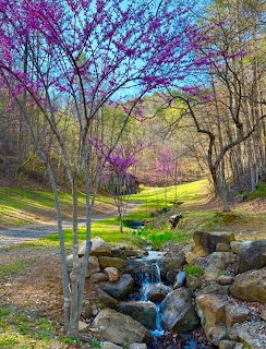 Spring Garden Stream