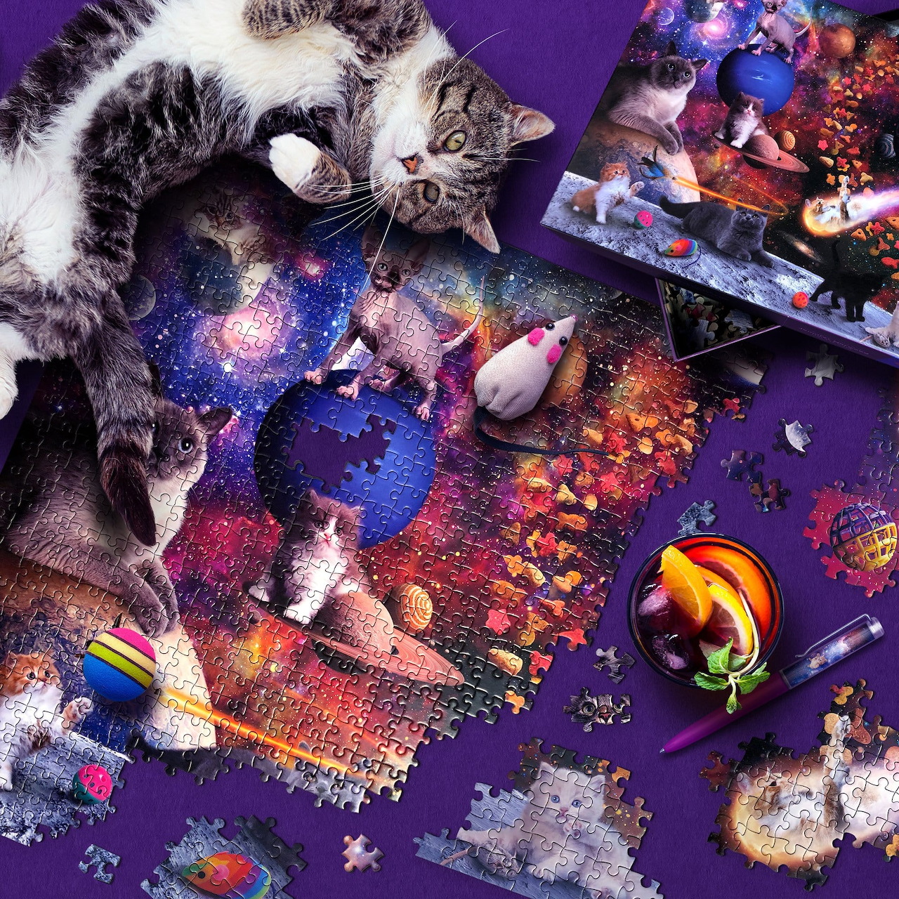 Cats and Space Puzzle