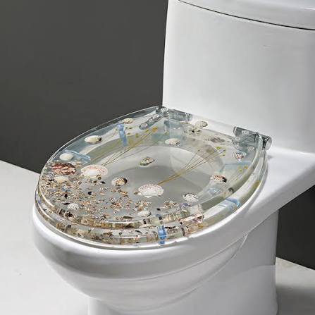 Clear acrylic toilet seat with embedded seashells and pebbles on a white toilet