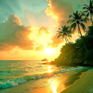 Tropical Beach Sunset