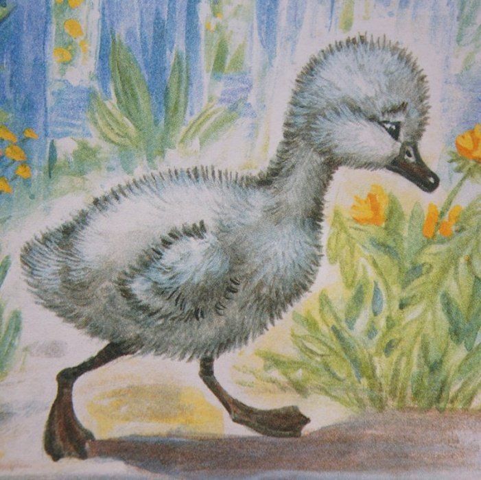 Fluffy Duckling in Garden
