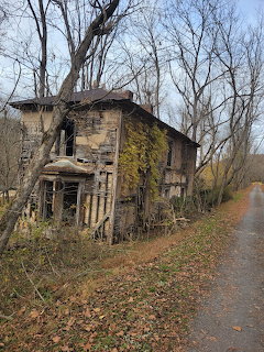 Abandoned two-story wooden house overgrown with ivy beside a dirt road with bare autumn trees