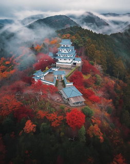 Foggy Mountain Castle