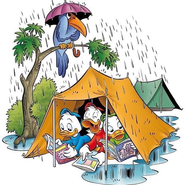 Cartoon duck reading in tent during rain with bird holding umbrella in tree