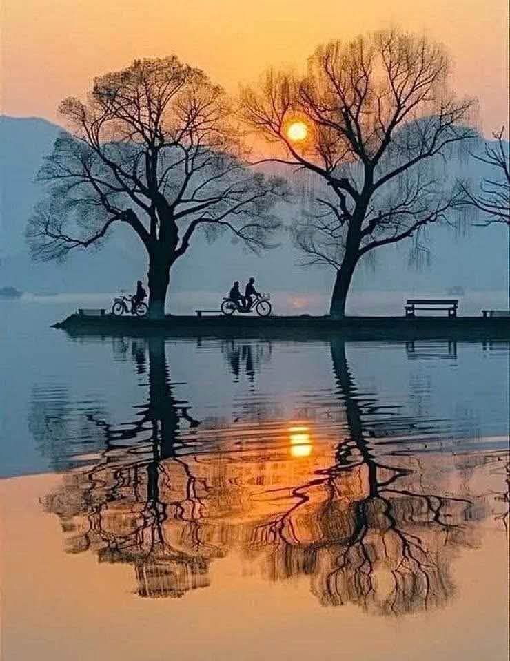 Silhouetted trees reflected in calm water at sunset with cyclists and a bench