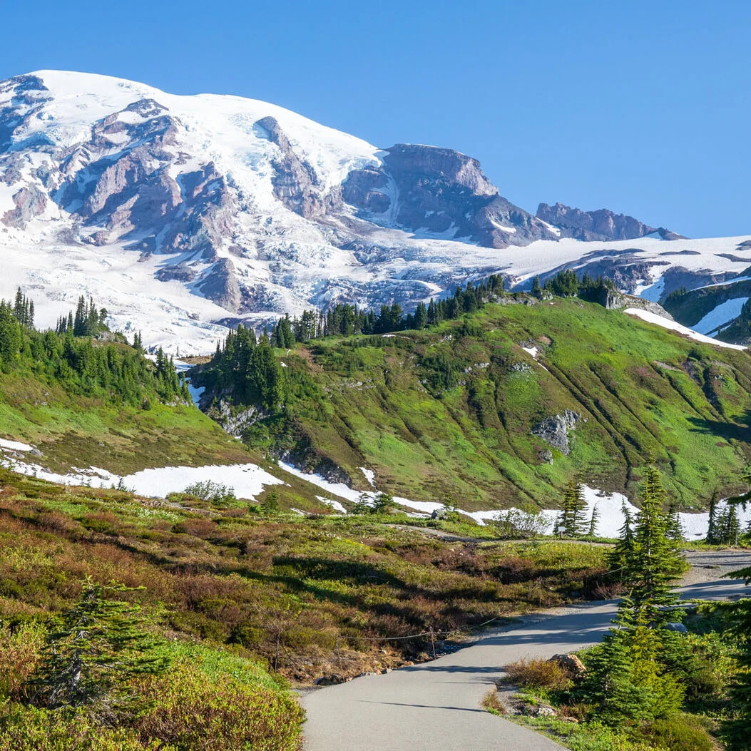 Mount Rainier with snow-covered peak above green meadows and hiking trail