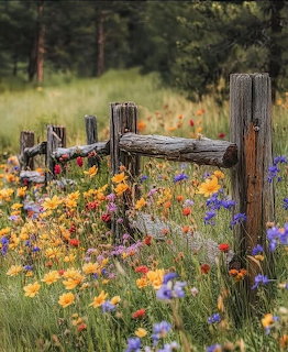 Colorful wildflowers growing around a rustic wooden post fence in a green meadow with trees behind