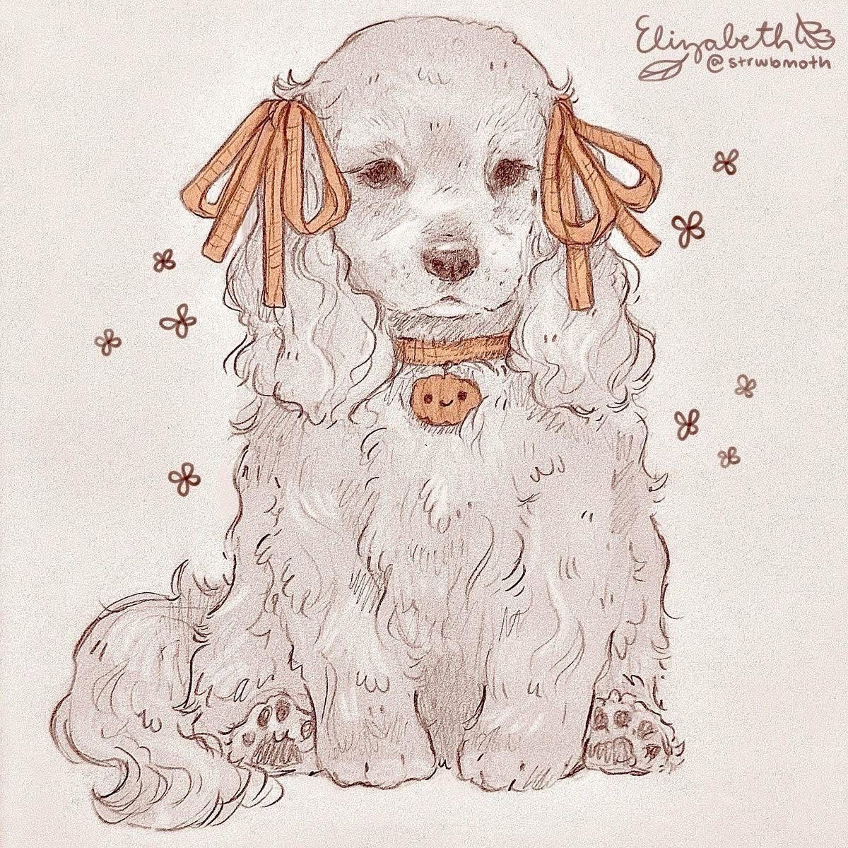 Cute dog