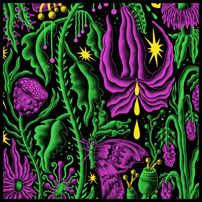 Psychedelic illustration of purple flowers, green vines, and small yellow stars on a black background