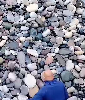 Person in blue shirt on a beach covered with smooth gray and white pebbles