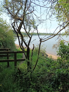 Golfe du Morbihan Shore