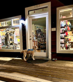 A terrier dog on a wooden boardwalk outside a brightly lit small shop at night