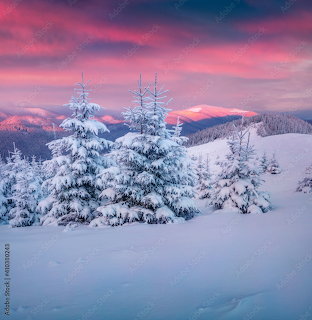 Snowy Winter Landscape at Sunset
