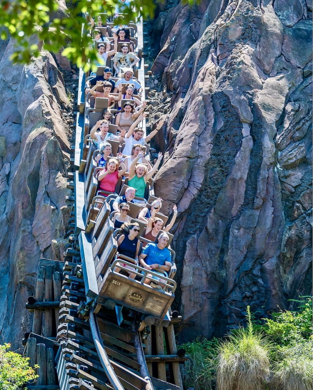 Expedition Everest snowy mountain attraction at Disney's Animal Kingdom