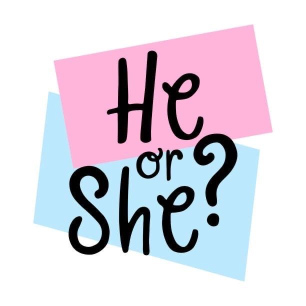 Handwritten 'He or She?' text on overlapping pink and blue paper shapes
