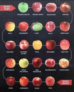 Chart showing apple varieties arranged by tartness to sweetness with labeled photographs