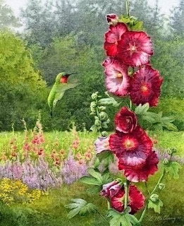 Hummingbird feeding near red hollyhock flowers in a garden with blooming plants and trees