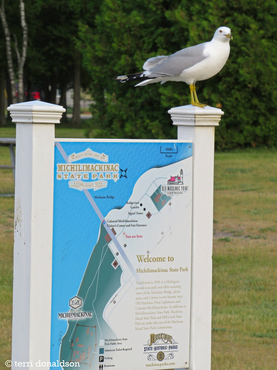 Outdoor landscape scene from Michigan's Upper Peninsula