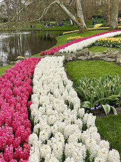 Keukenhof Tulip Garden