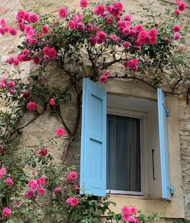 Pink climbing roses framing a blue-shuttered window on a beige stone wall