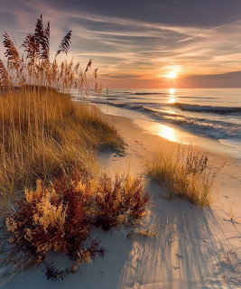 Sunset over beach with dune grass in foreground, waves and golden sky reflecting on wet sand