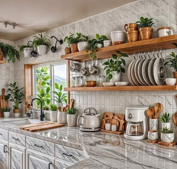 Rustic white kitchen with wooden shelves, potted plants, dishes, and farmhouse sink under natural light