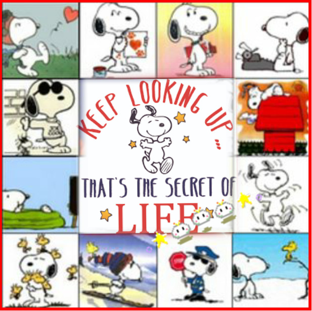 Grid collage showing Snoopy character in multiple scenes and poses with text overlays