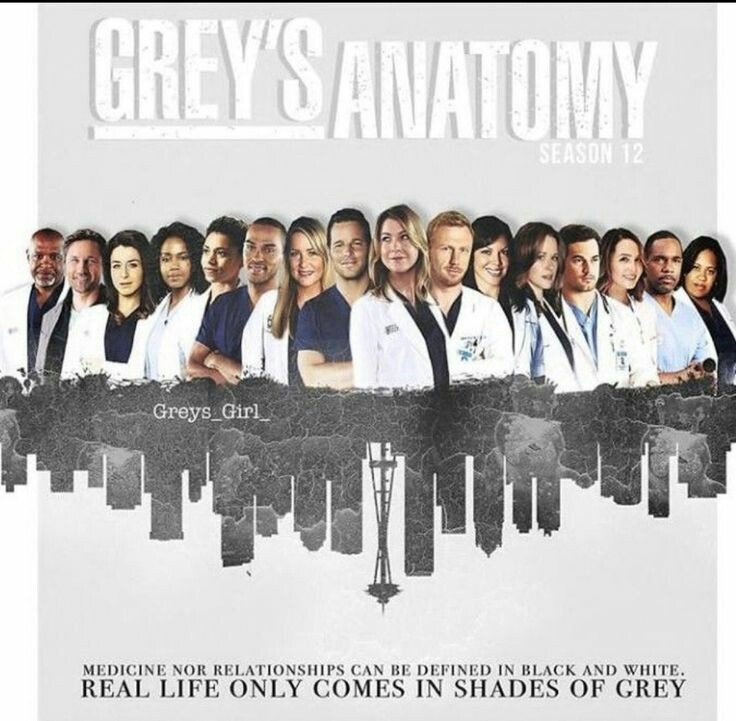 Grey's Anatomy Season 12
