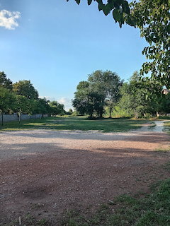 Dirt path through a park with green trees and blue sky