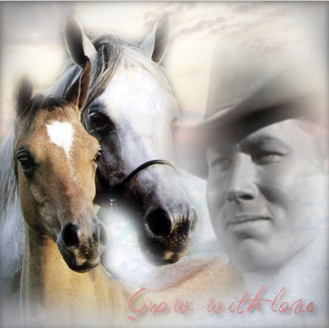 Artistic composite of two horses and a faded cowboy portrait with text Grow with love