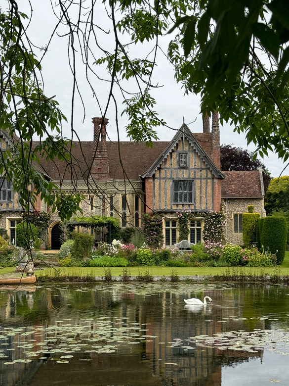 English cottage by a pond with a white swan, lily pads, and overhanging tree branches