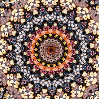Intricate Mandala Symmetry Pattern