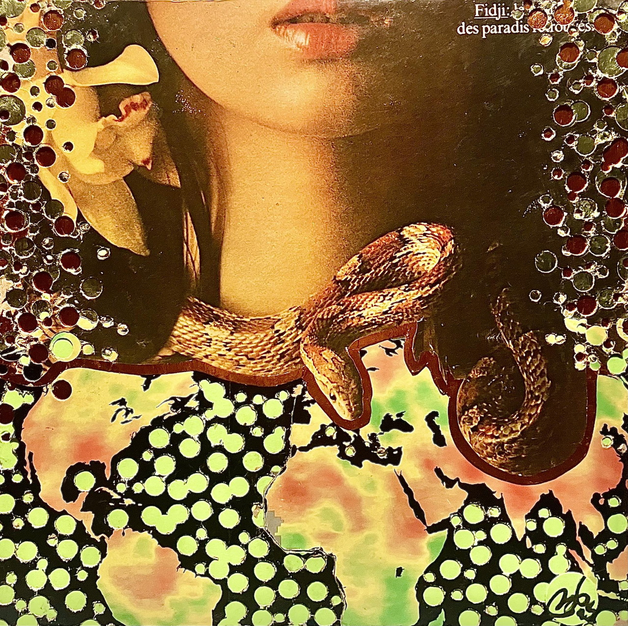 Stylized portrait of woman with long dark hair next to a snake, surrounded by colorful abstract patterns