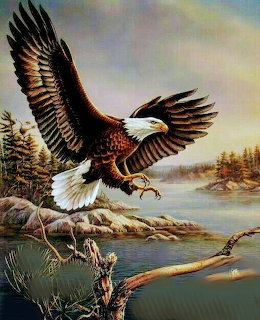 Painting of a bald eagle flying over a rocky lakeshore with trees and water