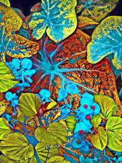 Colorful abstract artwork with layered butterflies and leaves in vibrant blue, yellow, orange, and green hues