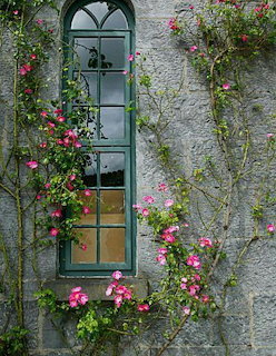 Window with Climbing Roses
