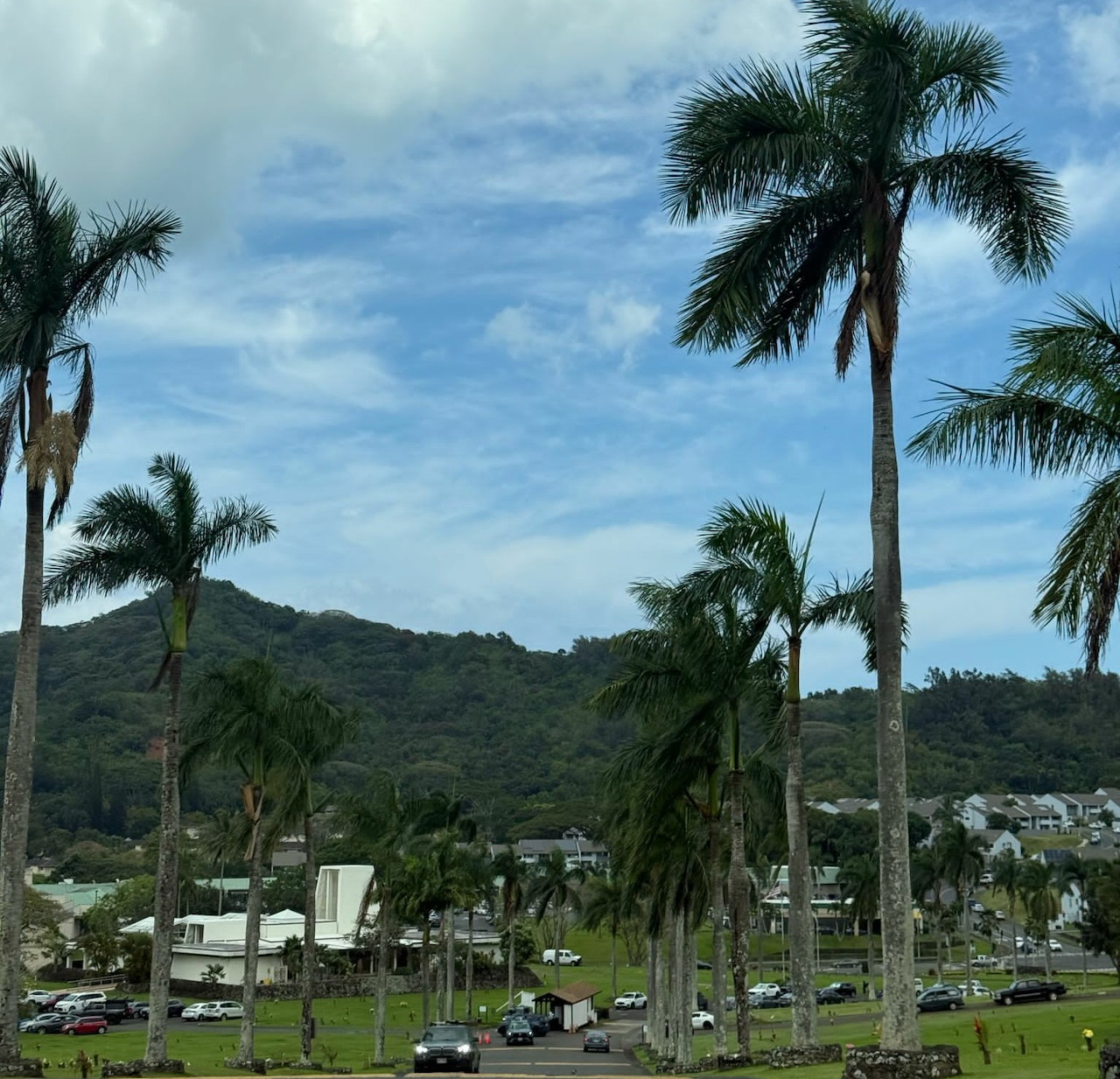 Palm-lined street with green hills, houses, and a cloudy sky in Honolulu, Hawaii