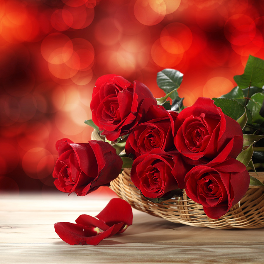 Basket of red roses with loose petals on a wooden table against a red bokeh background