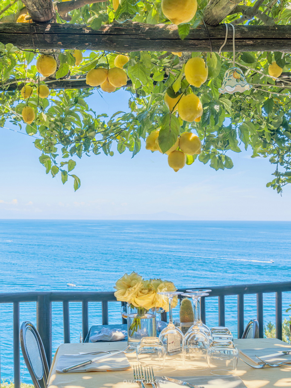 Terrace with yellow lemons hanging from pergola, table set with flowers overlooking turquoise Mediterranean sea
