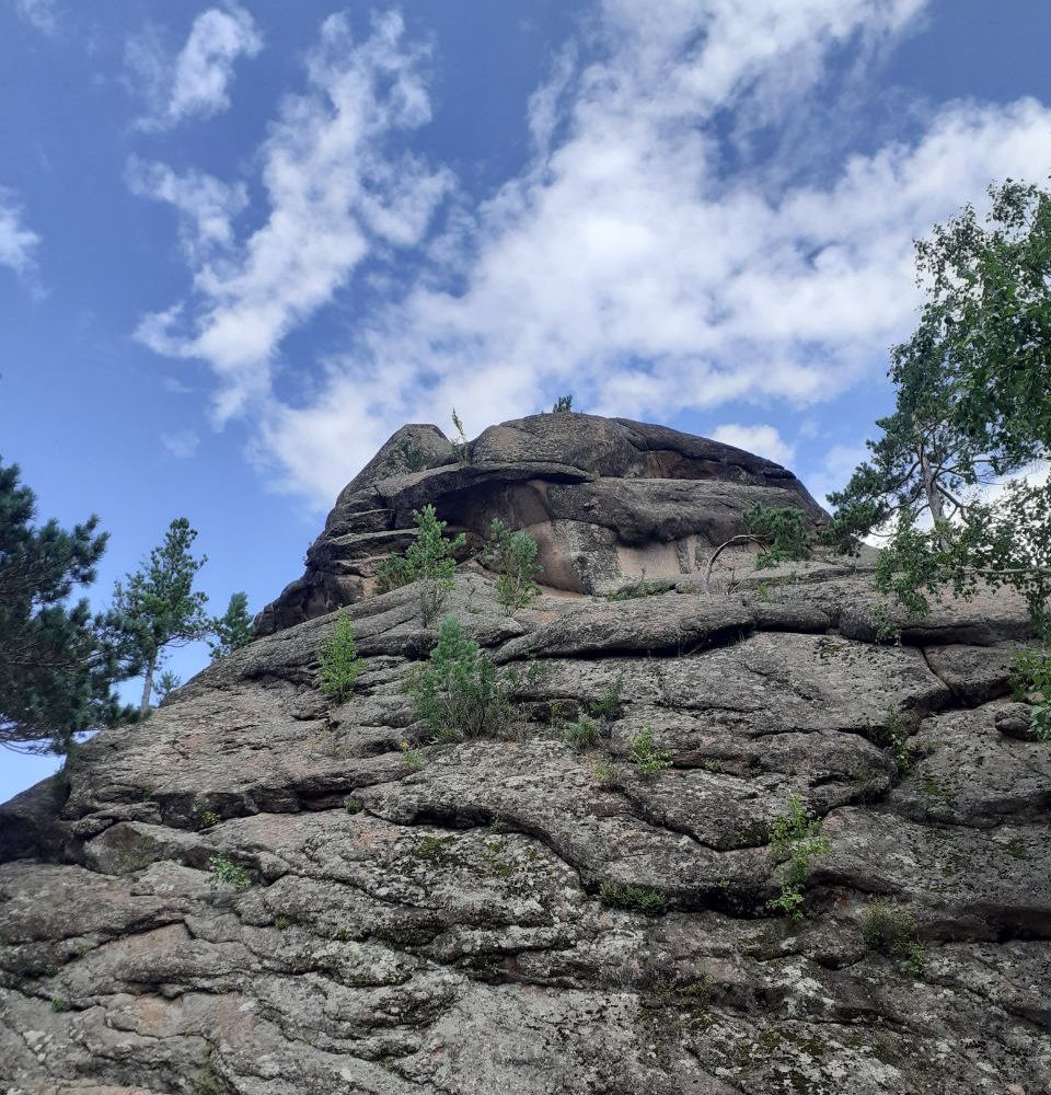 Rocky Cliff with Trees