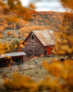 Red barn with rustic outbuildings on a farm surrounded by autumn trees in orange and yellow hues