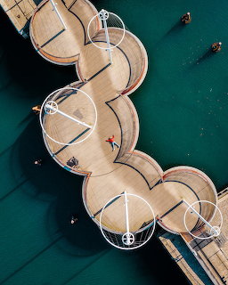 Circle Bridge