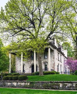 White Colonial House Spring